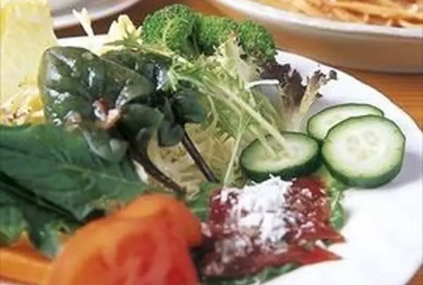 菜園の風