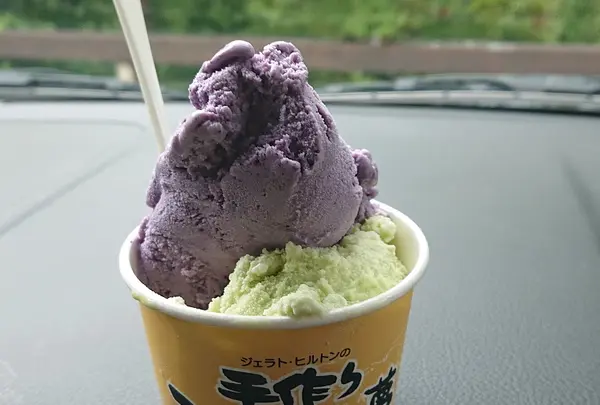 小国サービスエリア風車