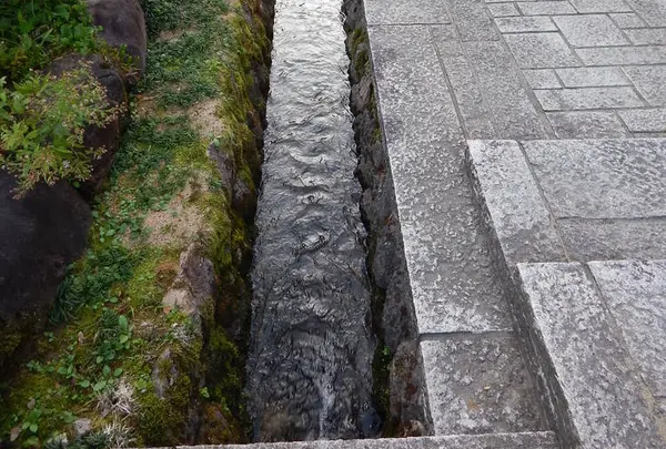 白峰の写真・動画_image_228638