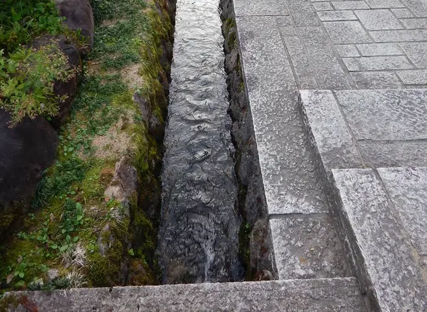 豊富な湧き水があちこちに