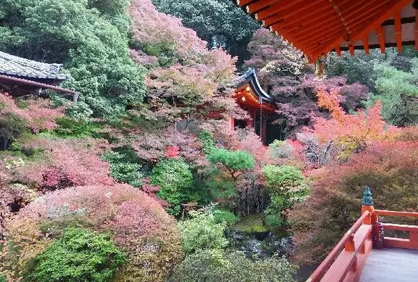 毘沙門堂の写真・動画_image_101016