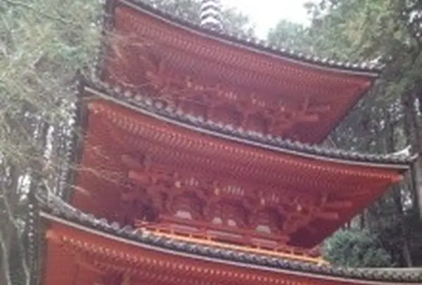 岩船寺の写真・動画_image_16804