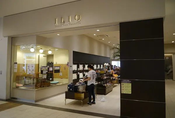 ドッグサロン ILIO