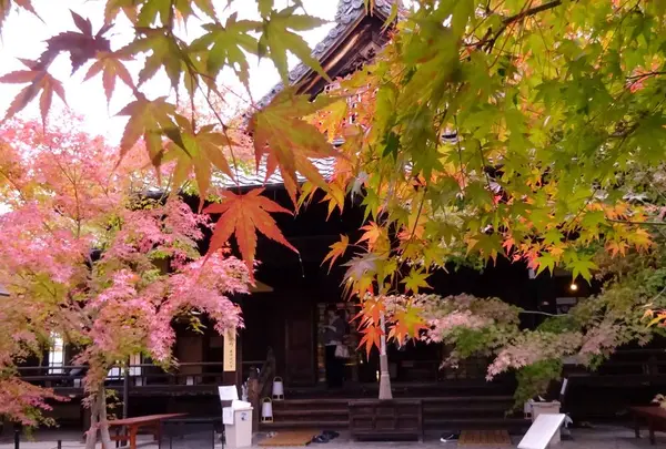 勝林寺（期間限定公開）