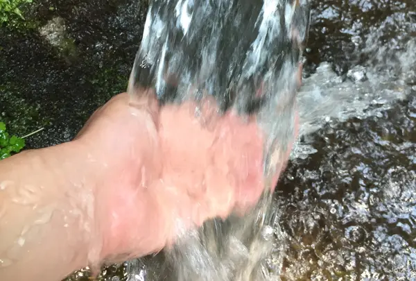 磐梯西山麓湧水群（代表　龍ケ沢湧水）の写真・動画_image_59173
