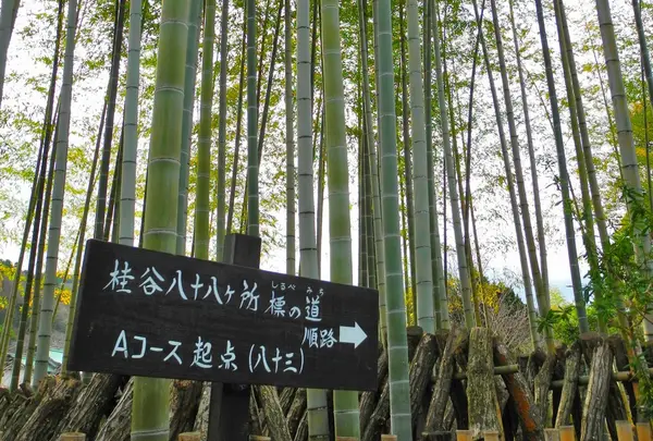 修禅寺の写真・動画_image_18030