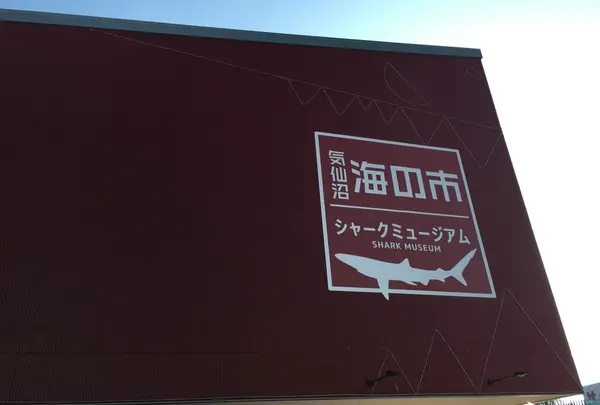 シャークミュージアム