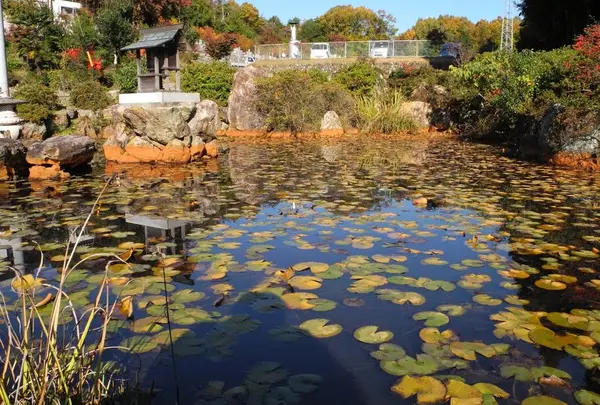 いかにも池らしい池