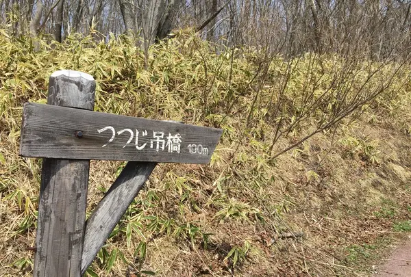 御散歩にぴったり。
