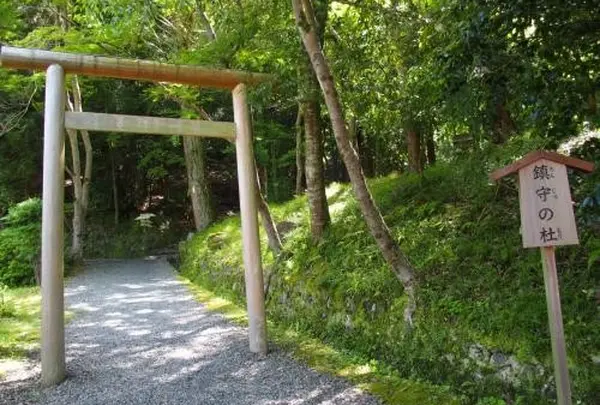 鎮守の森