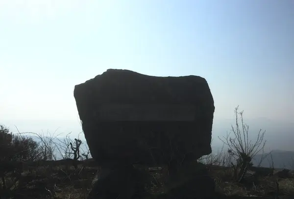 絶景駐車場の写真・動画_image_173364
