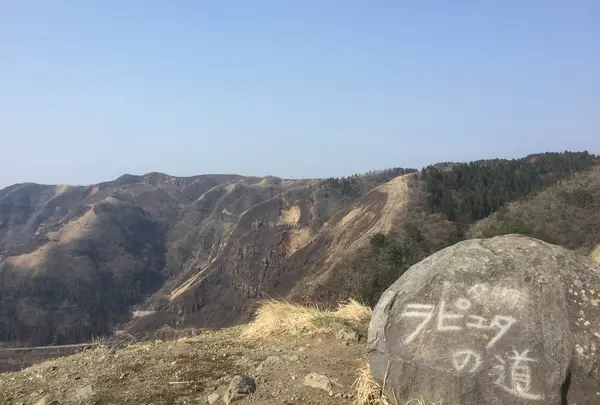 ラピュタの道
