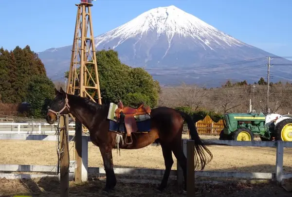 まかいの牧場