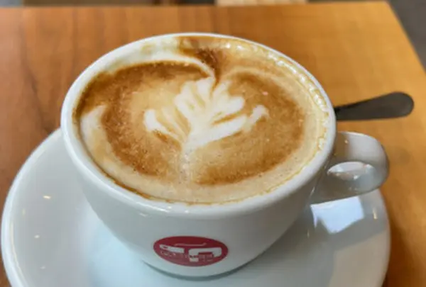 CAFFE PASCUCCI Nishiazabu カフェ パスクッチ 西麻布店