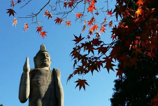 清林寺の写真・動画_image_158188