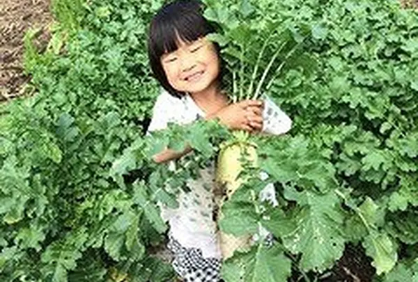 農業、自然の中で育っています