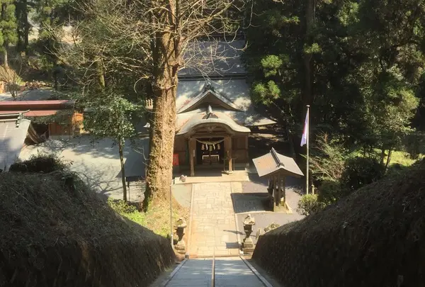草部吉見神社の写真・動画_image_71071