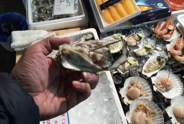 松島のカキ