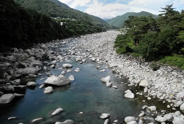 桃介橋の写真・動画_image_23239