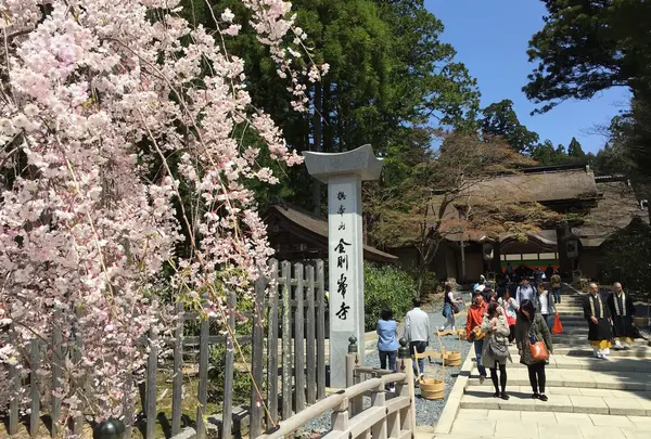 金剛峯寺の写真・動画_image_30103