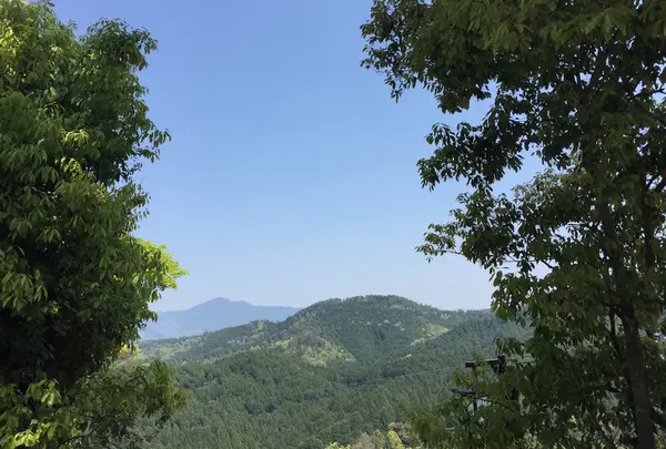 吉野山の写真・動画_image_30217