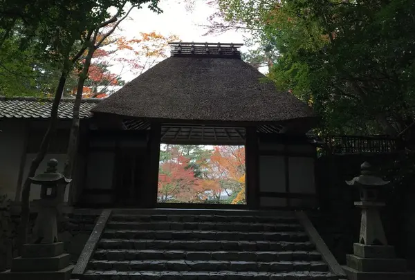 法然院の写真・動画_image_158953