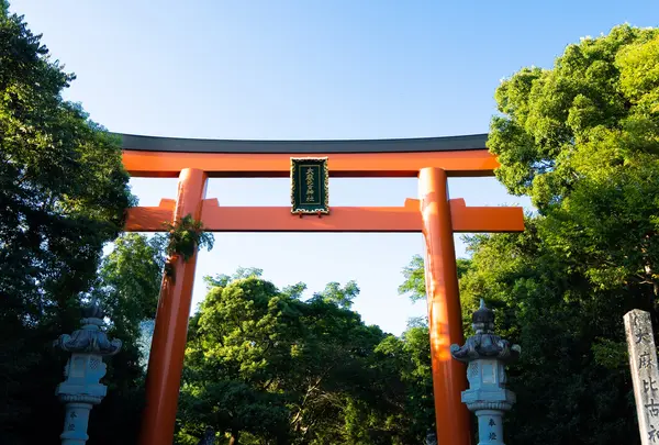 大麻比古神社の写真・動画_image_987456