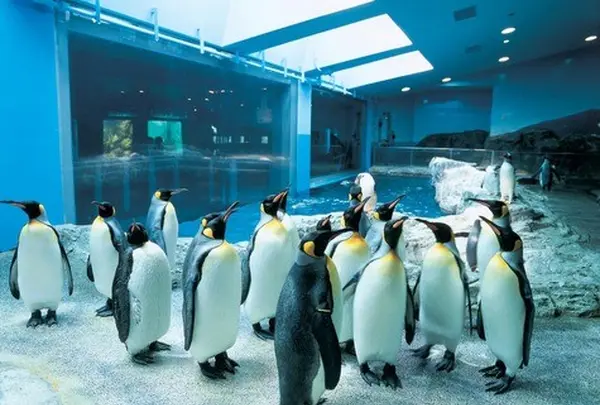 長崎ペンギン水族館