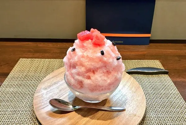 梛の木-なぎのき-