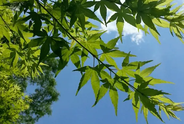 青空！