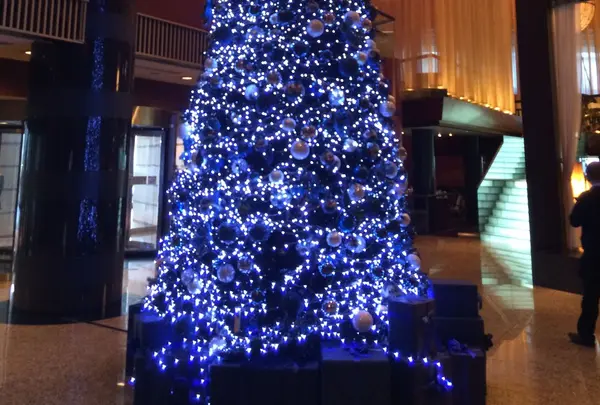 ANAインターコンチネンタルホテル東京の写真・動画_image_209693