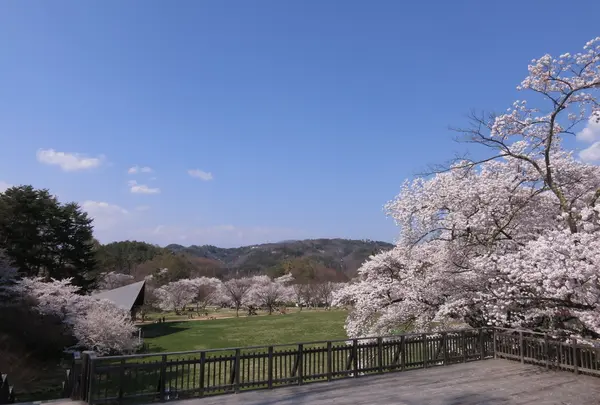 とにかく広い！そして綺麗！