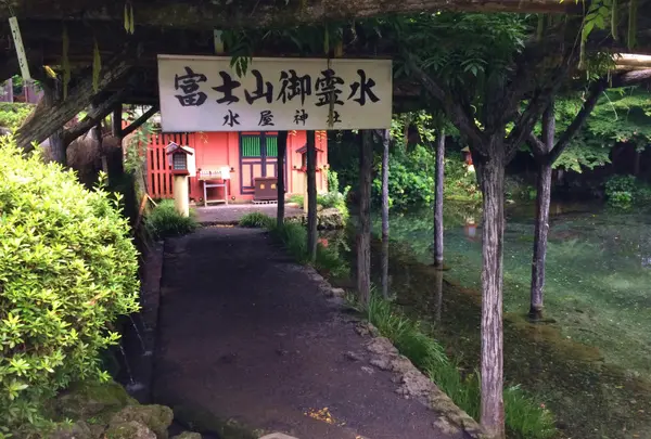 富士山本宮浅間大社の写真・動画_image_43280