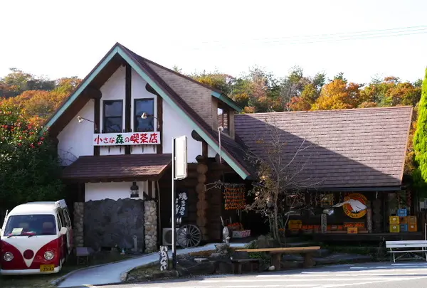 小さな森の喫茶店ワイルドダック
