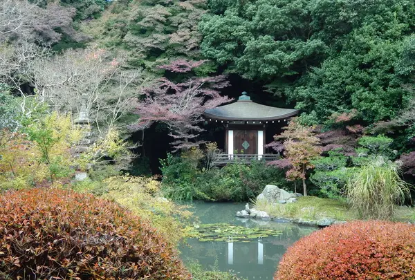 毘沙門堂の写真・動画_image_101013