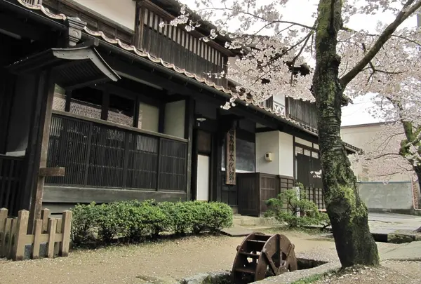 がいせん桜通りの写真・動画_image_27086