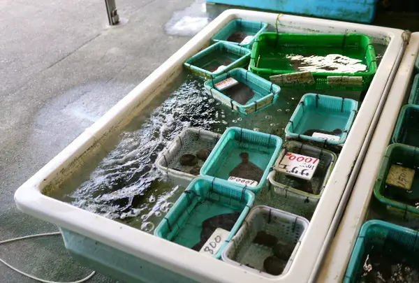 １階は、魚介類販売