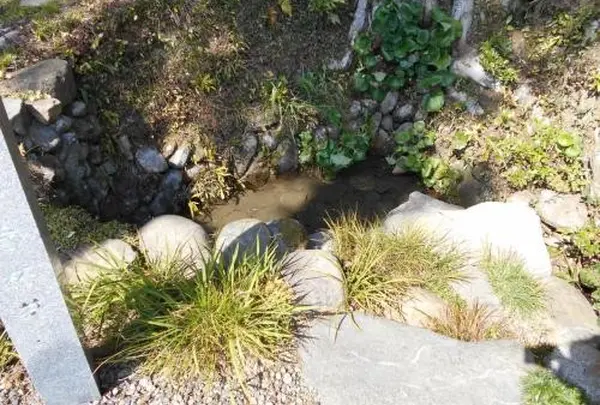 大通寺の写真・動画_image_68415