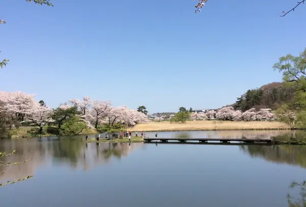 釣り堀（芝水園）