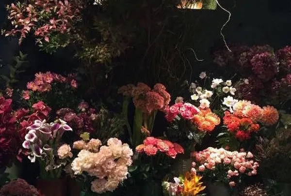 odette 代官山店