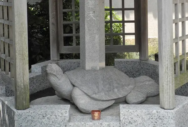 亀ですか