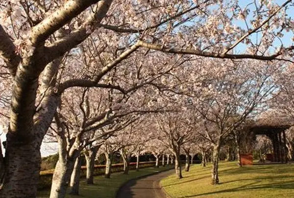 瀬戸公園