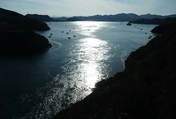潮の流れが夕日に映えて・・・
