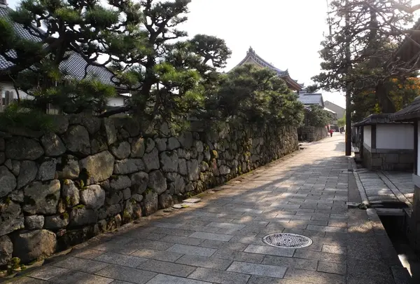京都か奈良に居るみたい