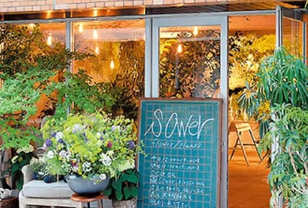 sower flower / plants