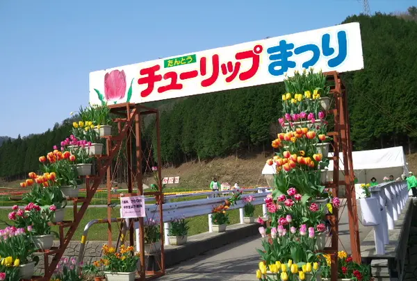 たんとう花公園の写真・動画_image_71265