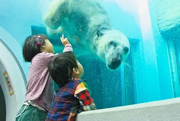 静岡市立日本平動物園
