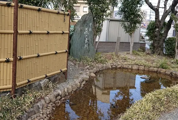 萩の玉川の写真・動画_image_915611