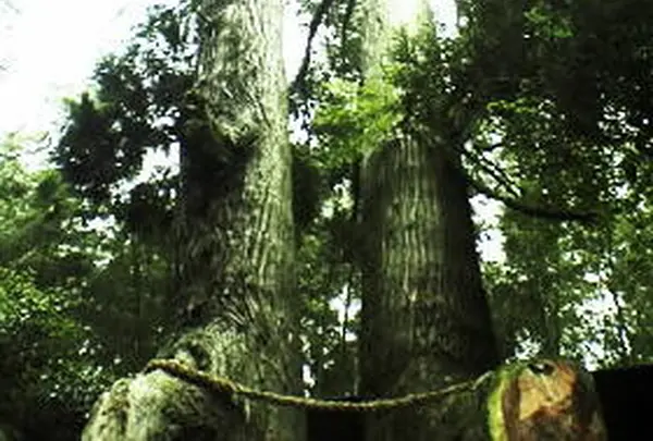 竜王神社　菊池