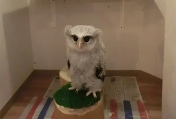 一時間たっぷり